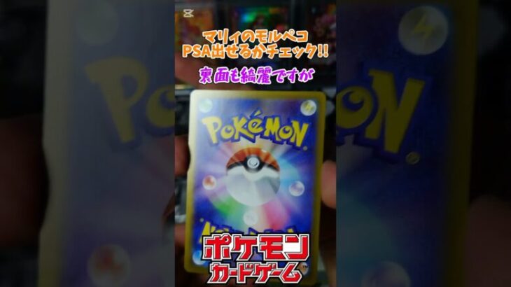 【ポケモンカード】マリィのモルペコPSAに出せるかチェックｗ#short #shorts #ポケモン #pokemon #ポケモンカード #pokemoncards #PSA