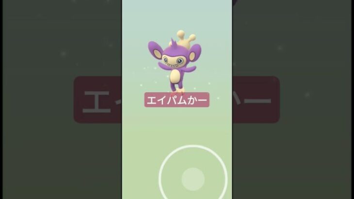 #ポケモンgo タマゴ3連孵化動画