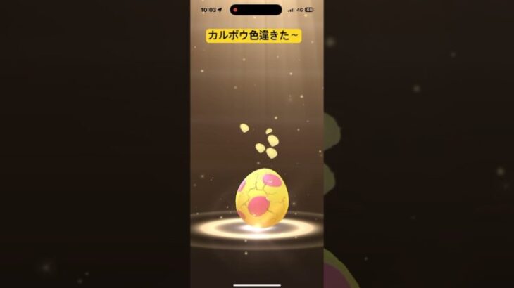 カルボウ色違いきた〜#ポケモンgo色違い #ポケモンgo #pokemongo