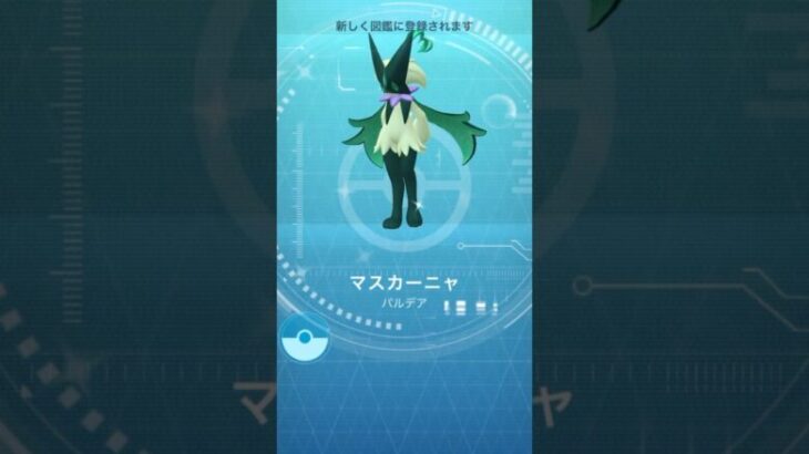 【 ポケモンgo 】色違い ニャローテ → 色違い マスカーニャ ！ホワイトデーにアニポケ進化記念！【 うさぴよの巣 】#pokemongo #floragato #meowscarada