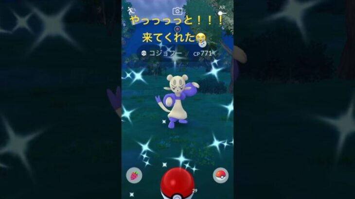 やっと光った🐨コジョフー✨️#ポケモンgo #色違い #shorts