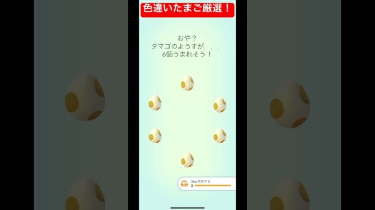 色違いたまご厳選！いい個体値も欲しい！#ポケモンgo #ポケモン #shorts #short #pokemongo #pokemon