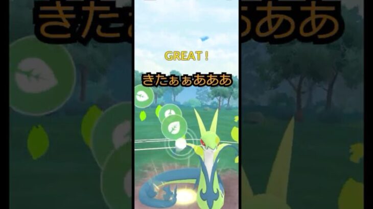 とにかく勝ちたい！！#shorts #ポケモン #ポケモンgo  #gbl #スーパーリーグ #ポケモンGO実況 #ゲーム実況  #カップルチャンネル