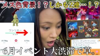 メス色違いは珍しいんだよ！！2連はヤバくね！？ワンリキー復刻でなぜか強運発揮する女。6月イベント来すぎでもうどうすりゃいいのよ。【ポケモンGO】