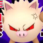 【瞬き厳禁】あっという間にレート2900になってレジェチャレになる配信『オコリザル』→クビになりました【スーパーリーグ】】【ポケモンGO】