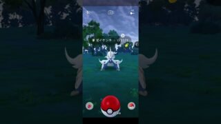 レイド2回勝つからのダイゲンキ色違い出現#ポケモンGO#ポケモンgo好きと繋がりたい