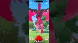 ガラル3鳥が出るまでの色違い達part2#shorts #ポケモンgo #ポケモン #pokemongo #pokemon