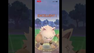 CP1500以下でサカキ討伐！　 #pokemongo #ポケモンgo #サカキ #ロケット団