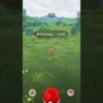 Catching a Fletchling pokemon go with 454cp in the wild #pokemon #pokemongo