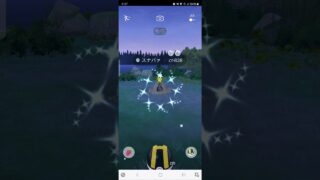 色違い　スナバァ　ポケモンGO