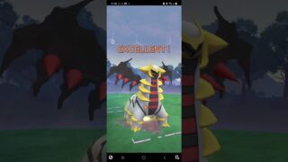 茂原でポケモンGO　サカキ戦