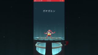 ガオガエンになったぞー#ポケモンGO
