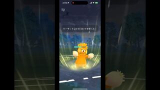 パーモットのかわらわり✊#GOバトルリーグ #GBL #ポケモンGO