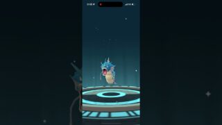 ポケモンGO コイキング　ギャラドス　#ポケモンGO #コイキング　#ギャラドス