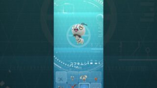 【ポケモンGO】コフキムシ色違い　ようやく登場 #ポケモンGO