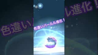 ポケモンGO 色違いパールル進化。はじめての図鑑登録 PokémonGO ポケモンGOショート動画 みず、水