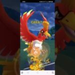 ポケモンGO 通常マスターリーグ グラードン、ホウオウ、Wキュレム