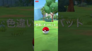 ポケモンGO 色違いオンバット出現！ #pokémon #ポケモンgo #ポケモン #pokemongo #ポケgo #ゲーム