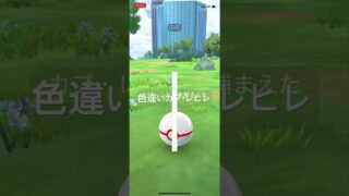 ポケモンGO 色違いカプ・レヒレ出現！ #pokémon #ポケモン #ポケモンgo #pokemongo #ポケgo
