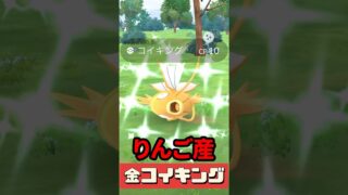 【ポケモンGO】絶対やって！日本限定ボーナス全まとめ！今日だけの激アツ内容！りんごから金コイキング出現!? #pokemongo #キョダイマックスカビゴン #shorts