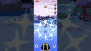 【ポケモンGO】2024年最後のコミュニティデイ2日目！ダンバル✨ #ポケモン #ポケモンgo #ポケgo #pokemongo #pokemon #ポケモンgoplus #ポケモンgo色違い