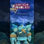 バルジーナは「エアスラッシュ型」採用!!【ポケモンGO】【GOバトルリーグ】
