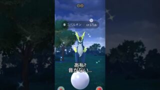 【ポケモンGO】…昔に撮った色違い…沢山あるんだよなぁ（遠い目）　#ポケモンgo #ポケモン #かっこいい #かわいい #コバルオン #色違い #shorts