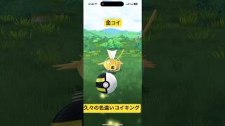 【ポケモンGO】コイキング　【色違い】　#ポケモン#pokemon #色違い