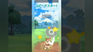 【ポケモンGO】オオタチが可愛くて強い！【バトルリーグ】【レトロカップ】#shorts #ポケモンgo #goバトルリーグ #gbl #レトロカップ #pokemongo