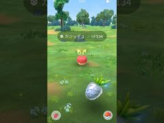 【ポケモンGO】初カジッチュはお預けですw #ポケモン #pokemon #shorts