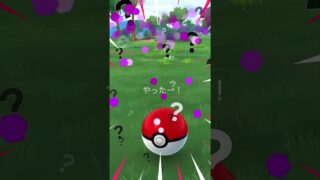 無課金でポケモンGo パモ色違いゲットだぜ！