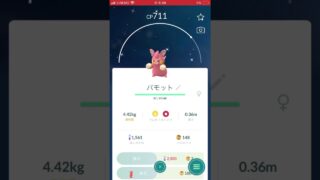 【ポケモンGoパモパモットパーモット色違い】可愛い😍！！#ポケモンGo