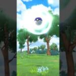 Pokemon Go Catch!!!!    #shorts #pokemon #pokemongo #gottacatchemall