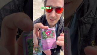 Pokemon Pack on the Go! Journey Together chasing Salamence Ex! #pokemonpacks #pokemongosafarizone