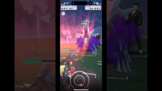 ディアルガ✨サカキ戦#PokémonGO#ポケモンGO#ディアルガ#ルカリオ#サカキ戦