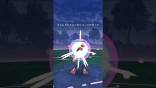 メガルカリオだけでサカキ討伐！ #ポケモンgo #サカキ