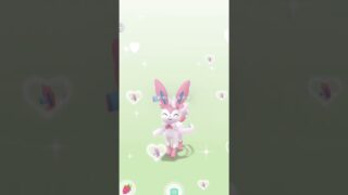 かわいいだけじゃダメですか？？？？#ポケモンgo #ニンヒィア