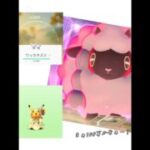 ピカチュウとウールーとワッカネズミの会話？#ポケモンgo
