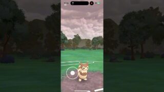 ついにスーパーリーグ個体のオオタチ育成完了！こうげき・ぼうぎょのバランス良くておすすめ #ポケモンgo #goバトルリーグ #オオタチ