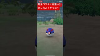 コマタナ色違い#ポケモンgo #ポケモンgo色違い #pokemongo #pokemon