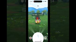 【レア】#ポケモンgo 列車タイレーツ 捕獲してみた #pokemon #pokemongo #ポケモン #shorts