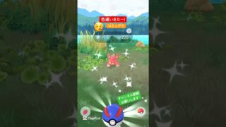 #ポケモンgo #ポケモン #pokemongo #pokemon #色違い #色違いポケモン #shinypokemon #shiny #コミュデイ #チャンネル登録お願いします #shorts