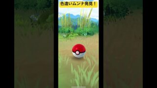 色違いムンナを発見！気になる個体値は！？#ポケモンgo #ポケモン #shortvideo #shorts #short #pokemongo #pokemon