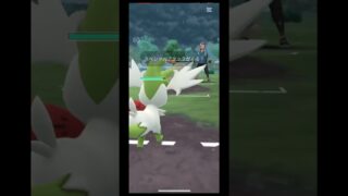 ポケモンgoのリーグ戦！投稿空いてすみません！#ポケモンgo #ポケモン