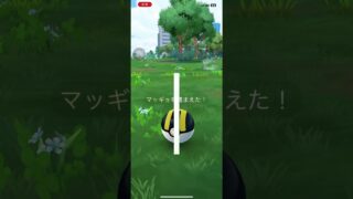 色違いポケモン、マッギョ^_^ #pokemongo #ポケモンgo色違い #ポケモンgo #ポケモン