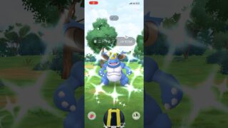 #pokemongo #pokemon #ポケモン #ポケモンgo #ニドキング #色違い #タスク