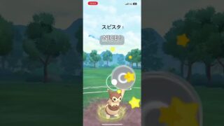 短期決戦！