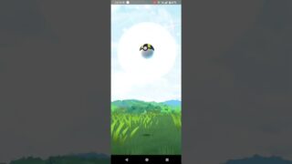 ポケモンＧＯ　ヒスイニューラ♀　色違い