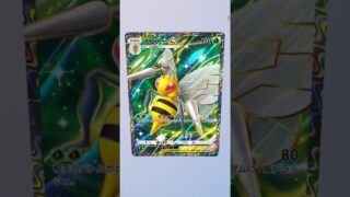 ◯◯した人のポケモンカード 【ポケポケ】【双天の守護者】