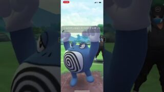 【ハイパー】ニドクイン、オーダイル、コノヨザル　20250613ポケモンgo